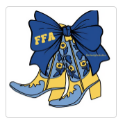 FFA boots