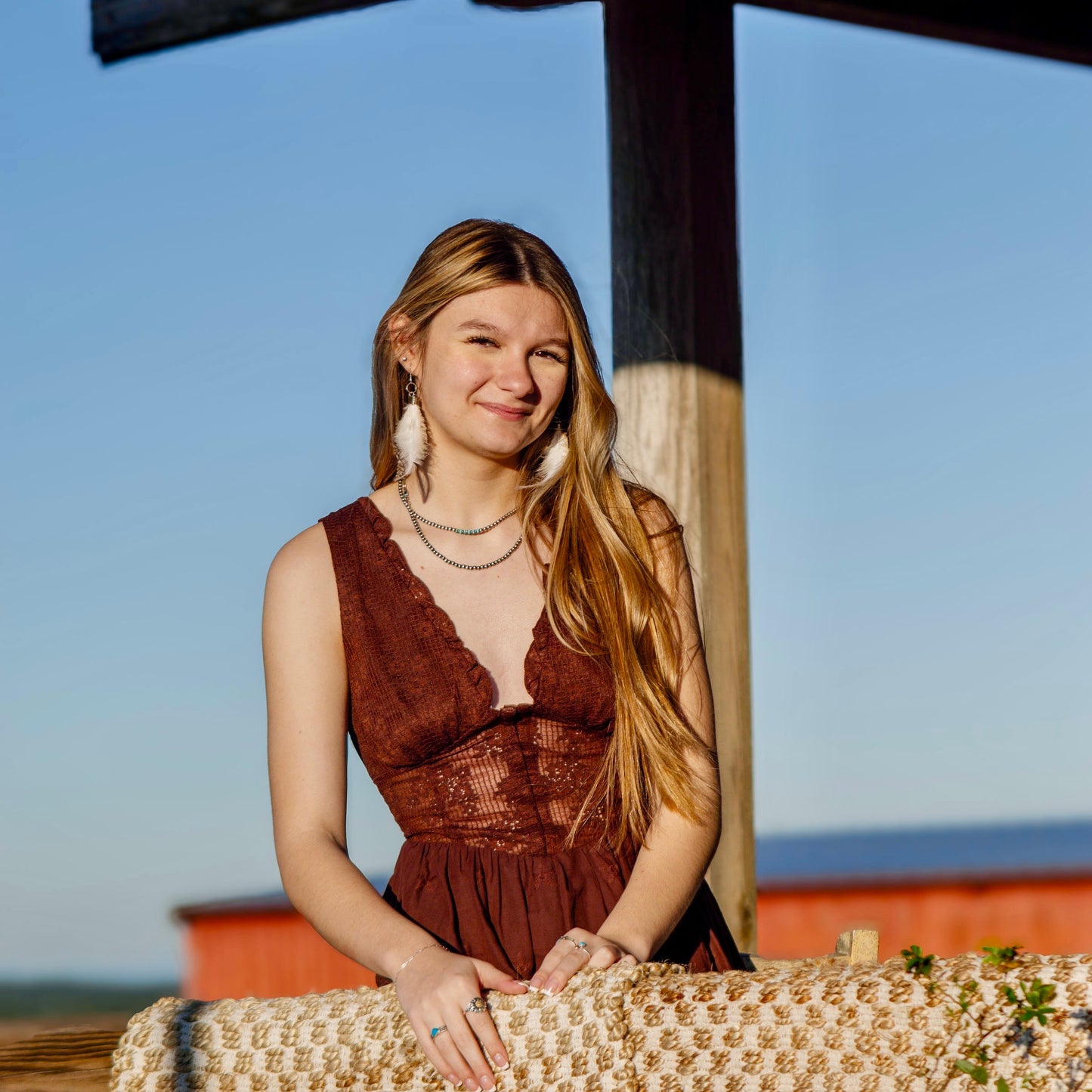 Brown Corset Mini Dress