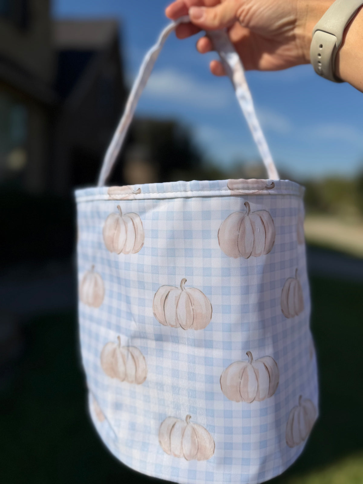 Trick or Treat Bags
