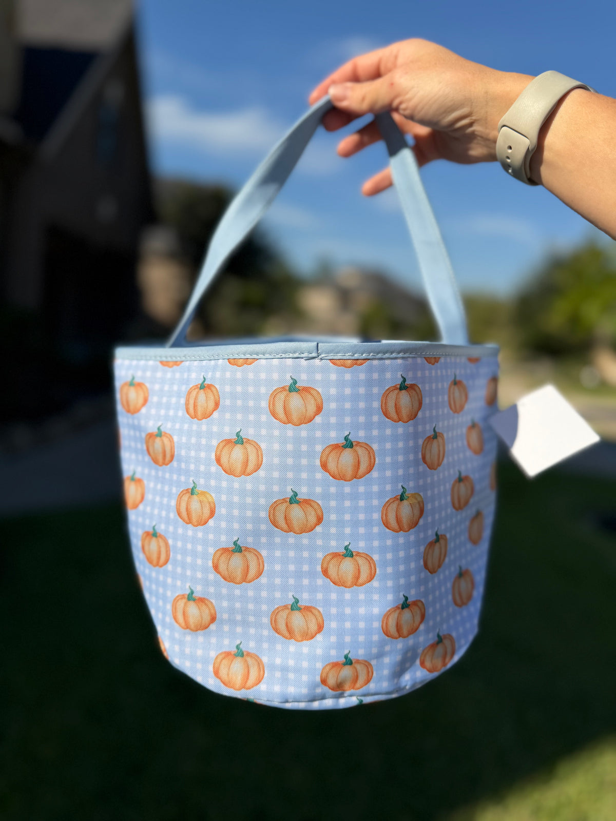 Trick or Treat Bags
