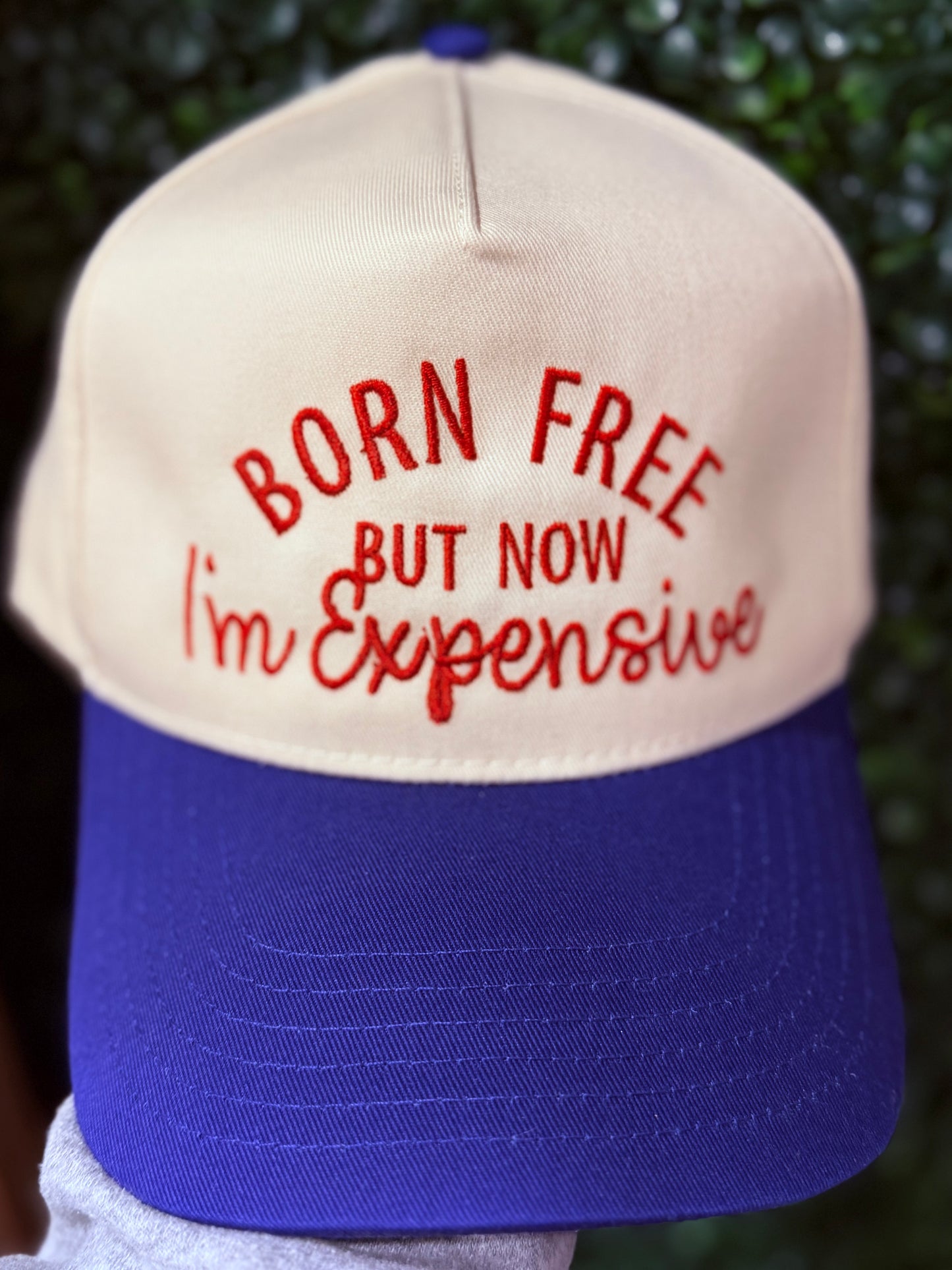 Born Free- Structured Hat