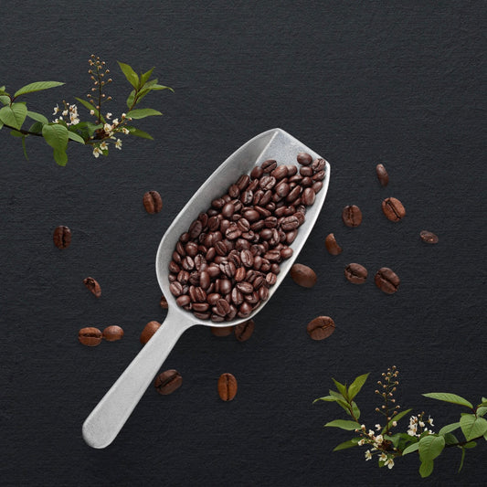 Winter Wonderland- Hazelnuts, white chocolate mousse, vanilla and cinnamon.